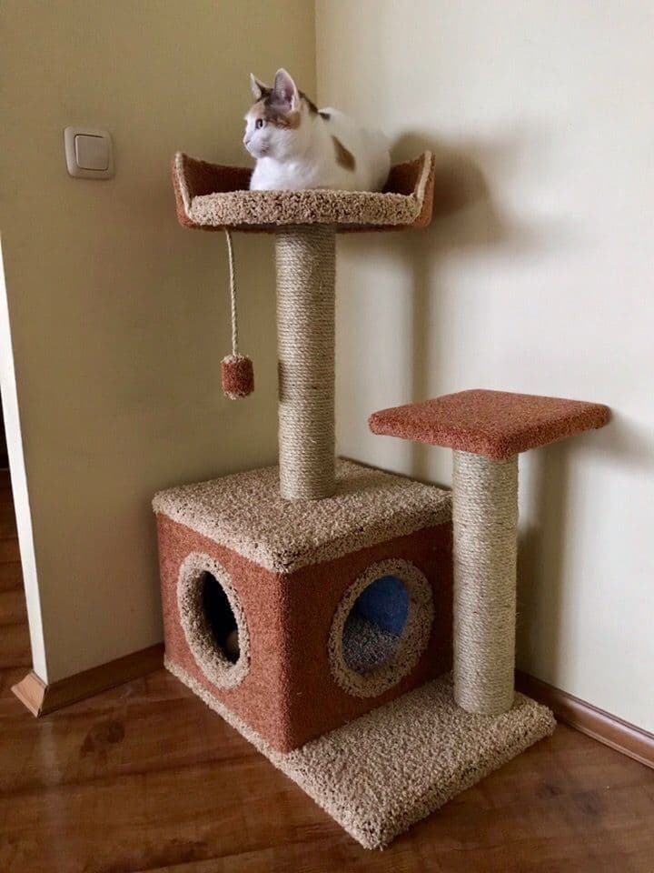 Cat Scratcher