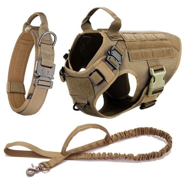 Dog Leash