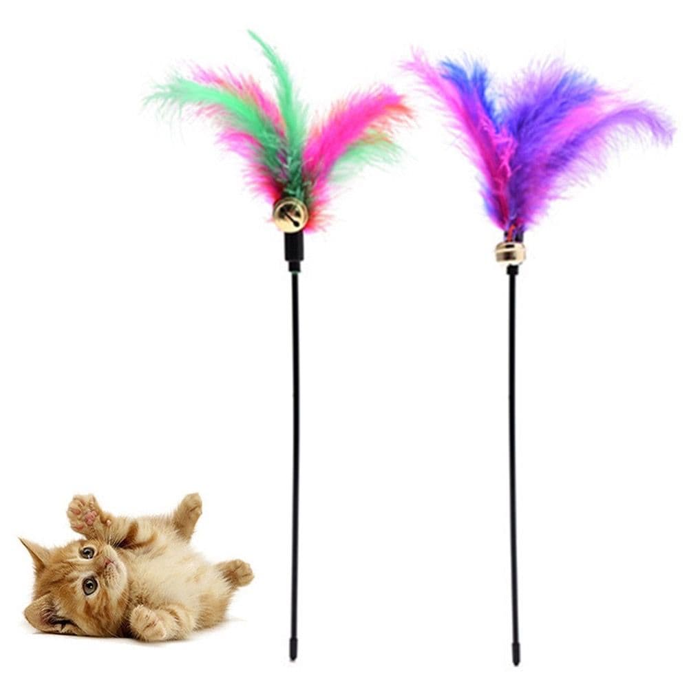 Cat Toy